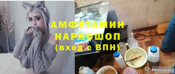 прущие грибы Горняк