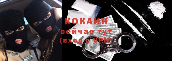 прущие грибы Горняк
