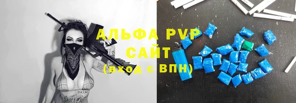 прущие грибы Горняк