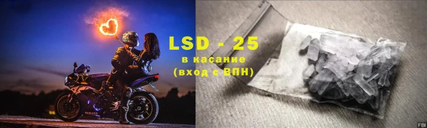 прущие грибы Горняк
