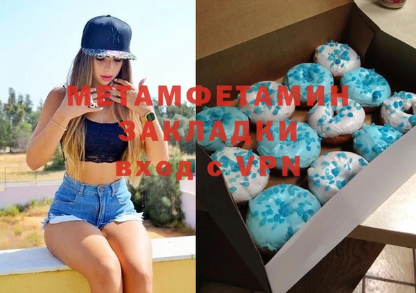 прущие грибы Горняк