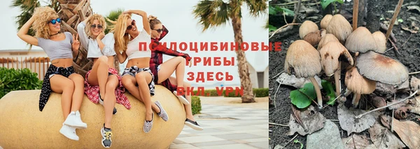 прущий лед Горнозаводск