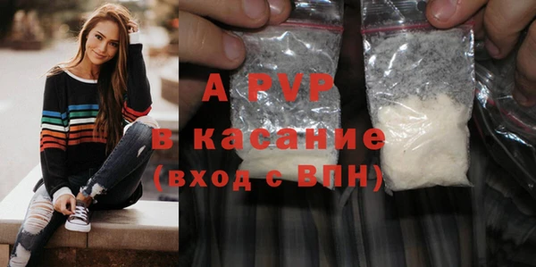 прущие грибы Горняк