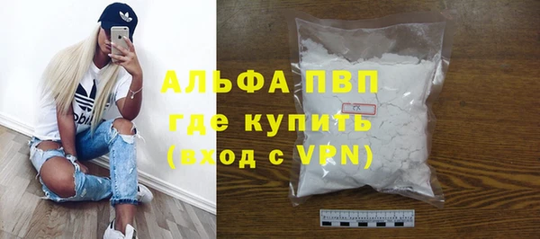 прущие грибы Горняк