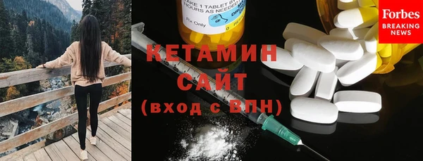 прущие грибы Горняк