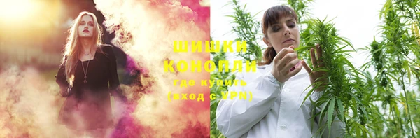 прущие грибы Горняк