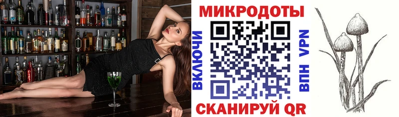 Купить Пласт Галлюциногенные грибы MAGIC MUSHROOMS