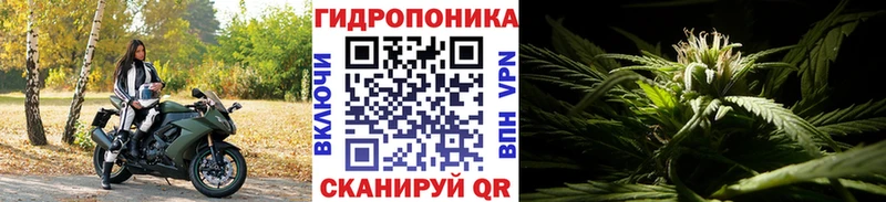 Купить где  Пласт  Бошки Шишки OG Kush 